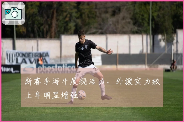 新赛季海牛展现活力，外援实力较上年明显增强