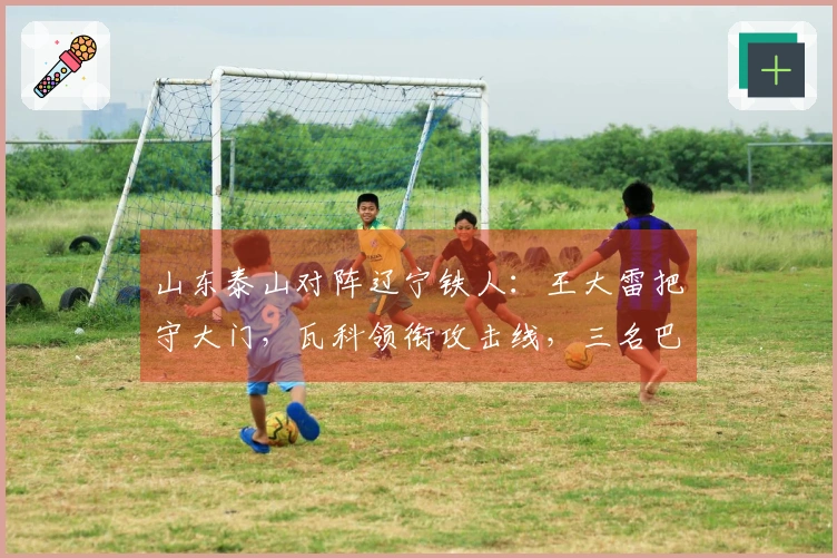 山东泰山对阵辽宁铁人：王大雷把守大门，瓦科领衔攻击线，三名巴西外援出战
